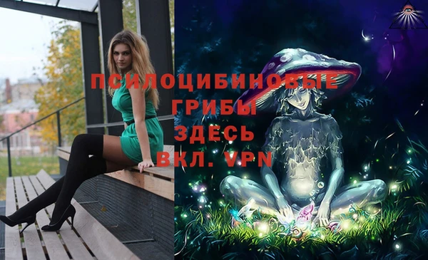 метадон Алексеевка