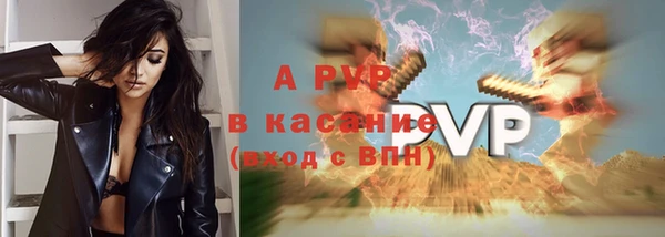 СК Арсеньев