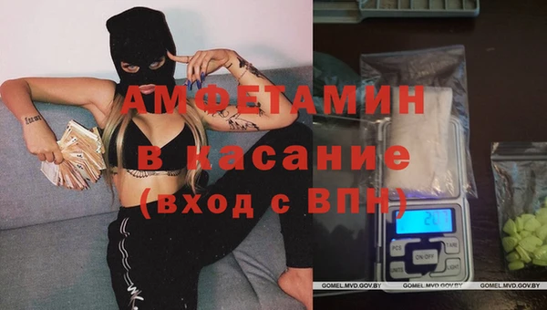 шишки Алексин
